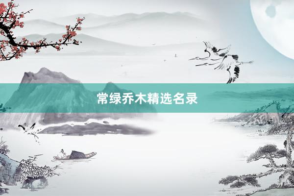 常绿乔木精选名录