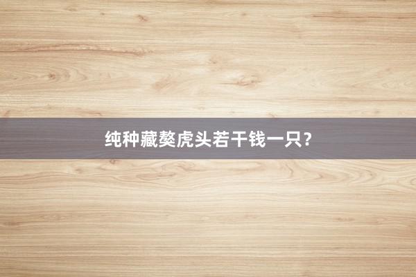 纯种藏獒虎头若干钱一只?