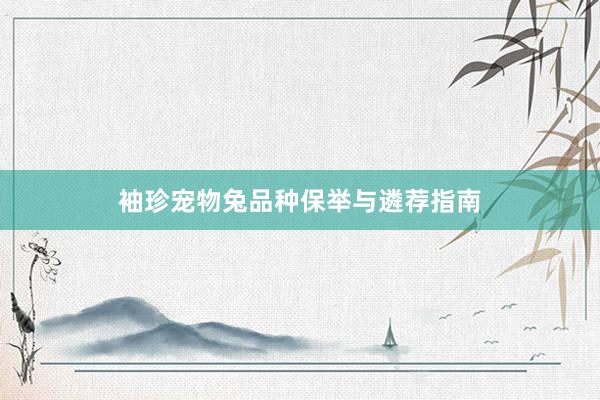 袖珍宠物兔品种保举与遴荐指南