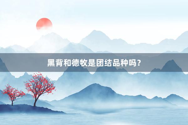 黑背和德牧是团结品种吗？